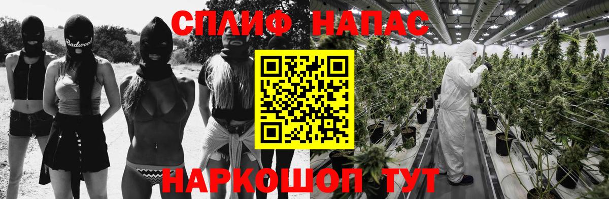 Карачаевск  Марихуана гибрид  МАРИХУАНА LSD WEED  Вход с VPN  Конопля Bruce Banner  Марихуана ГИДРОПОН 